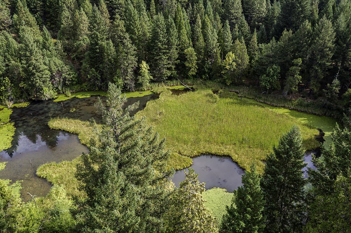 44335 Crater Lake Highway