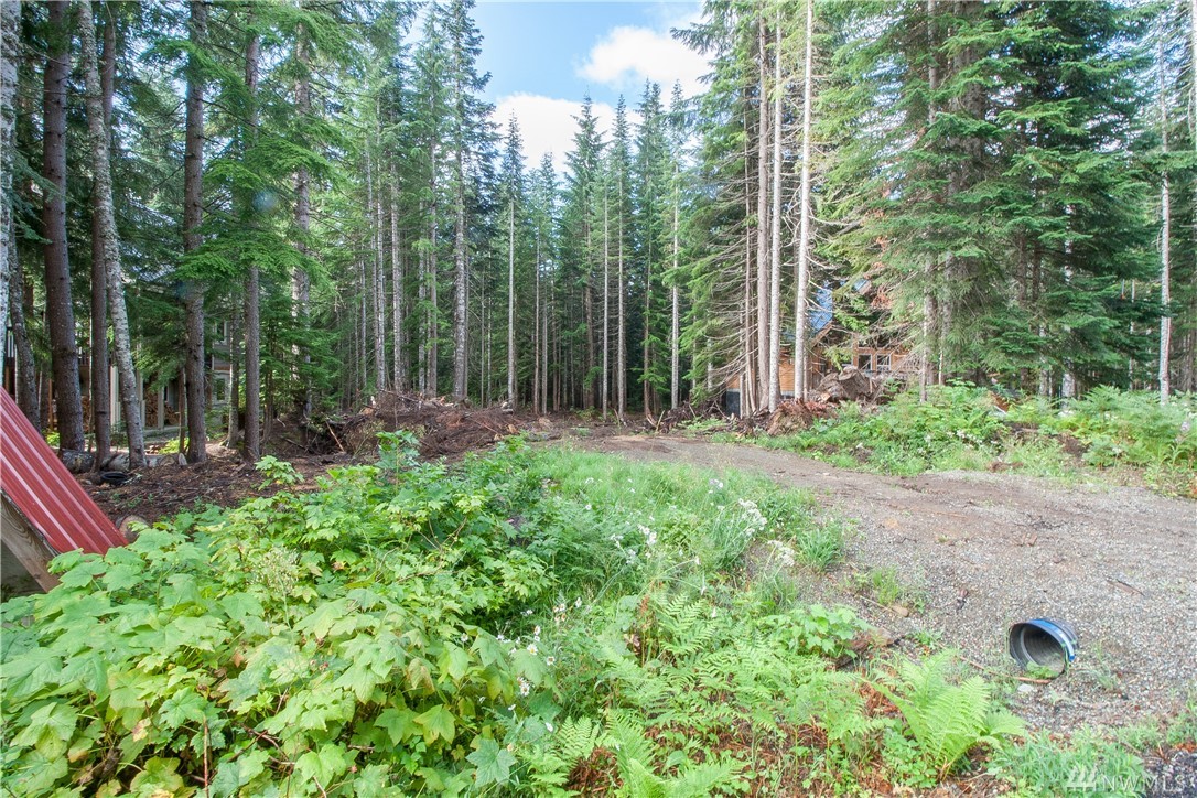 Snoqualmie Pass Area Vacant Land 0 Lot 5 Mountain Home Rd Snoqualmie Pass Wa