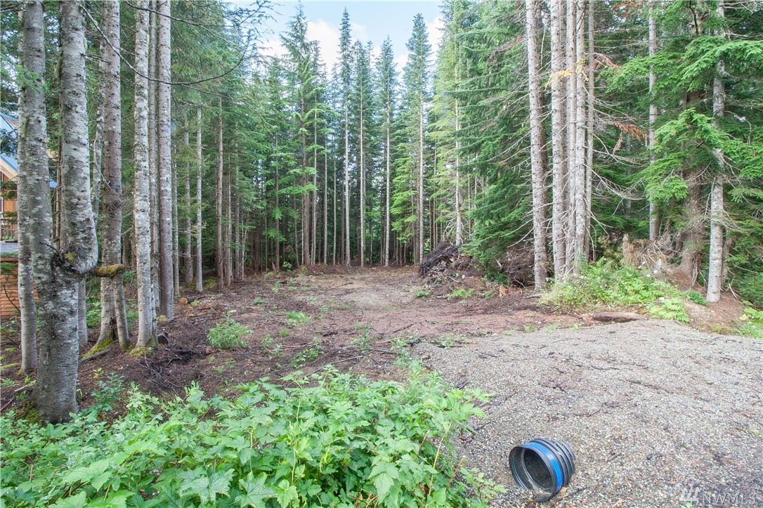 Snoqualmie Pass Area Vacant Land 0 Lot 3 Mountain Home Lot 3 Rd Snoqualmie Pass Wa